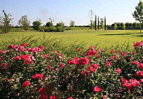 Country House Letizia Verona Ngoại thất bức ảnh
