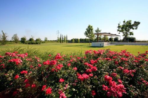 Country House Letizia Verona Ngoại thất bức ảnh